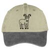 Two Tone Pigment Dyed Cap Thumbnail