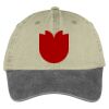 Two Tone Pigment Dyed Cap Thumbnail