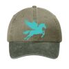 Two Tone Pigment Dyed Cap Thumbnail