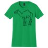 Women's Softstyle Tee Thumbnail
