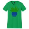 Women's Softstyle Tee Thumbnail
